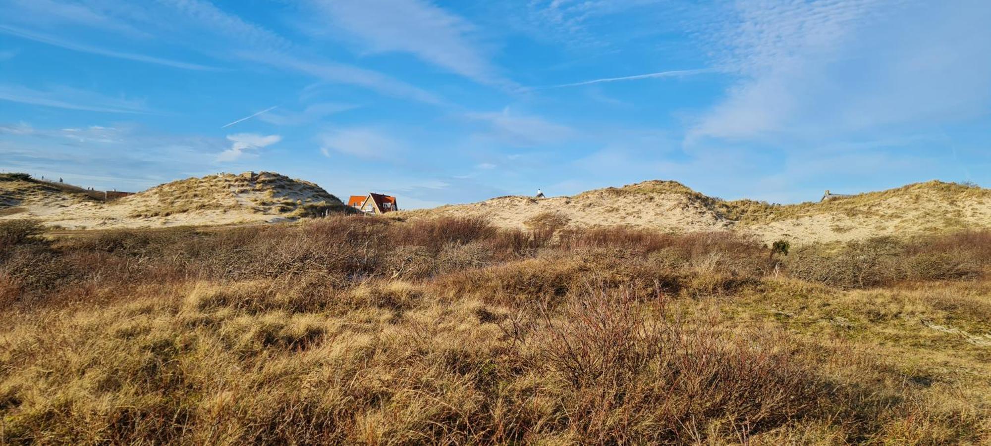 Villa Parnassia Bergen aan Zee Luaran gambar